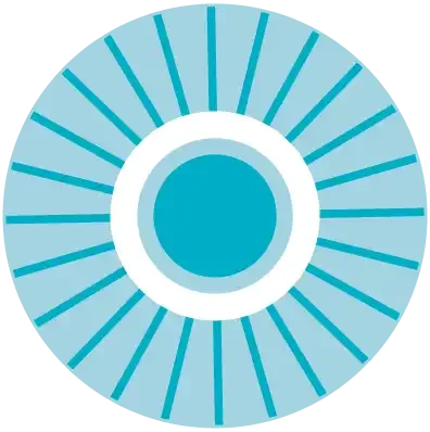 Circular icon with a teal center and radiating blue rays.